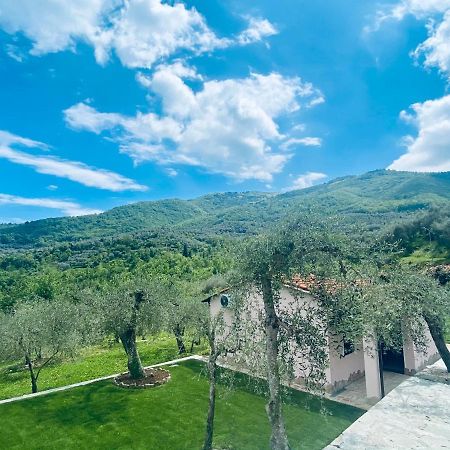 Casa Vacanze Gli Ulivi Borgomaro Екстер'єр фото