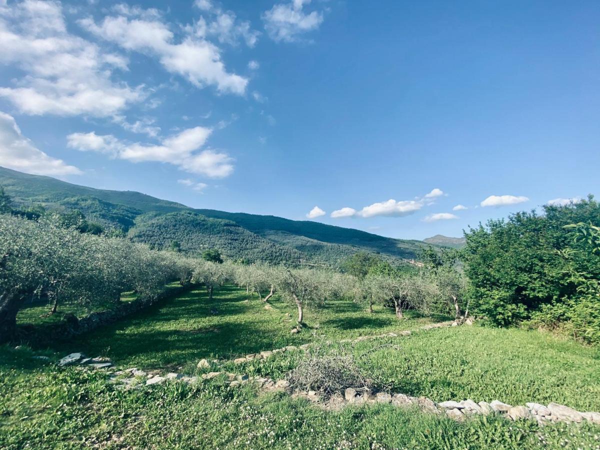 Casa Vacanze Gli Ulivi Borgomaro Екстер'єр фото
