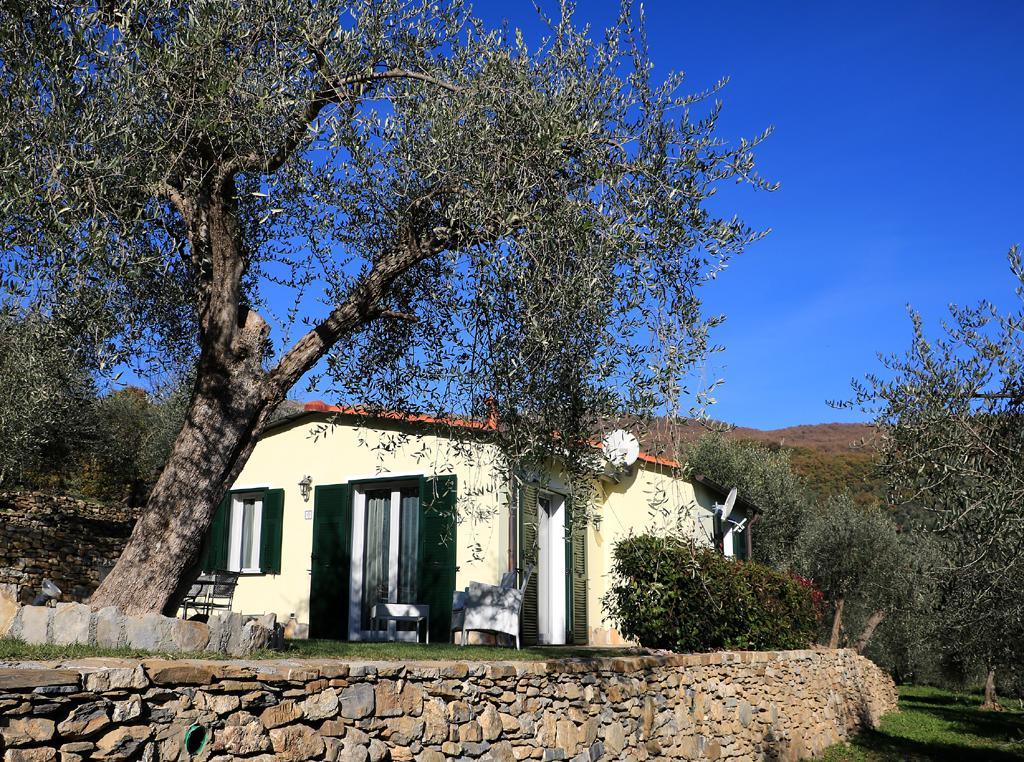 Casa Vacanze Gli Ulivi Borgomaro Екстер'єр фото
